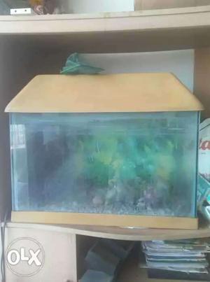 Ready to use fish tank. 2ftx1ftx15inch. With stone design