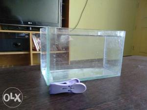 Tiny fish tank