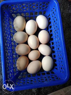 Twelve Organic Eggs