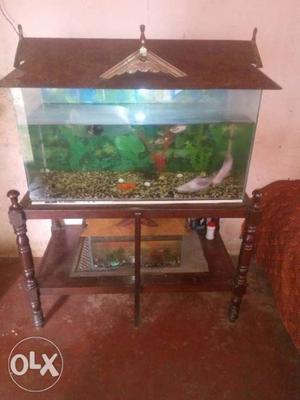 Two fish tank with fishes and a wooden stand for