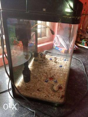 Unused fish tank. good condition. reach ooo5