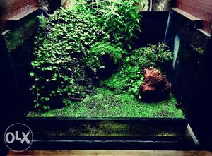 We design and make all kinds of aquariums such as