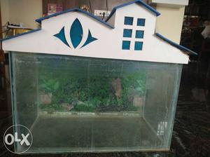 White And Blue House Framed Pet Tank