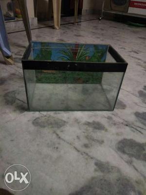 " size Aquarium for sale. only Aquarium and