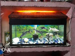  tank with 2 fit led light,Crystal cover