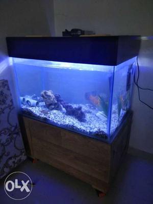 Black Framed Fish Tank Cabinet