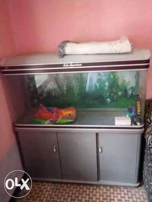 Clear Fish Tank With Gray Stand