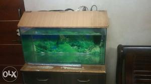 Fish Tank with Top Cover