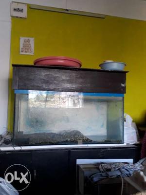 Fish tank big one