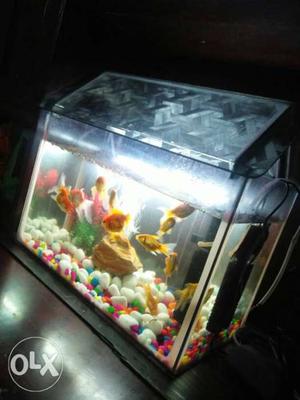 Fish tank is new tank size is 1.5 ft only tank no