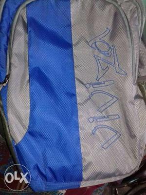 Gray And Blue Viviza Backpack