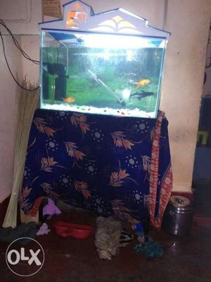 Large fish tank with motar, hiter, light, pebals,table and