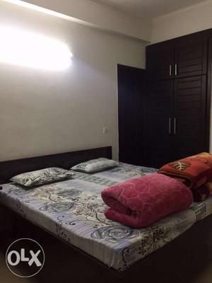 Move Out Sale.King Size bed for sale in a brand new conditon