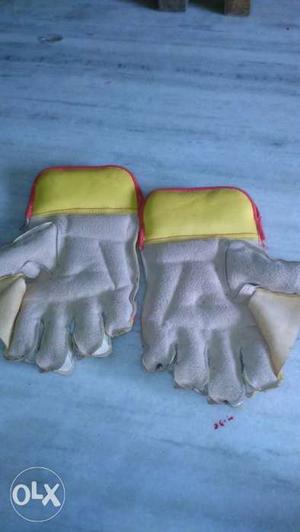 Newly purchase cricket wicket keeping Gloves at 400