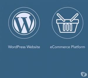 Get Responsive WordPress Web Design Services In Ahmedabad
