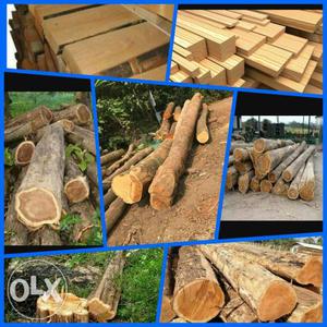Teak wood for sale. For your dream home and for