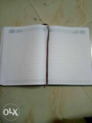 This is a diary of  Newly camed from usa with