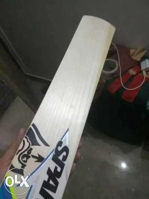 Two english willow professional cricketers' bats.