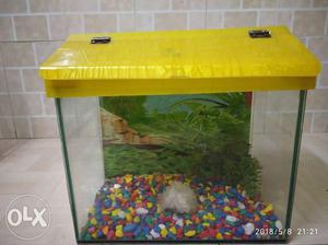 12×9 inch, 7 inch wide tank with coloured stones with