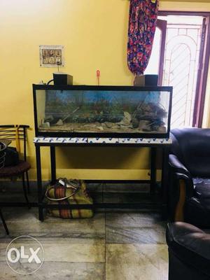 4ft aquirium with iron stand for sale.