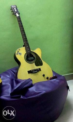 A givson semi acoustic guitar,9 years old with