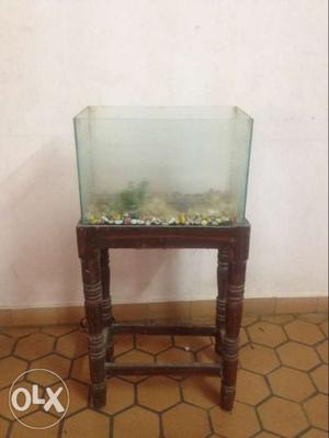 Aquariam fish tank for sale with stand fish and