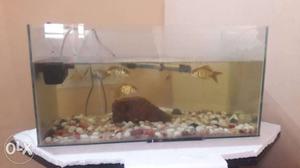 Aquarium with complete accessories with very good conditions