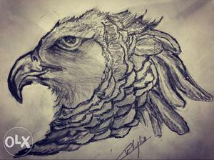 Autographed Eagle Sketch