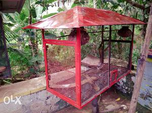 Cage birds 150 x 60 cm 90 higt