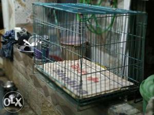 Cat puppy's cage