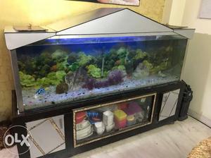 Fish Aquarium 6'feet.good Condition,with Big