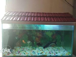 Fish aquarium / fish tank