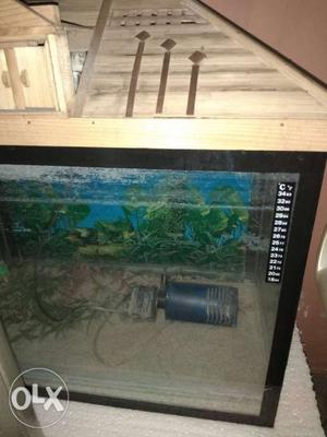 Fish aquarium in good condition with all