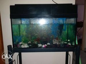 Fish tank complete set with Steel stand is