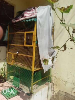 Fully Loded Bird Cage urgent sell