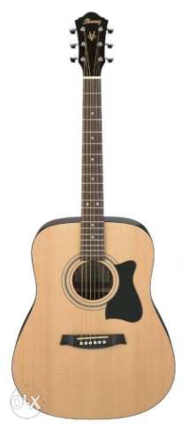 Ibanez Acoustic Guitar