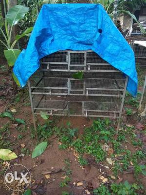 Large size, 3step cage and also without any