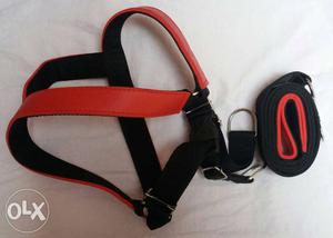 New adjustable harness an leash 1.5 inch for dogs