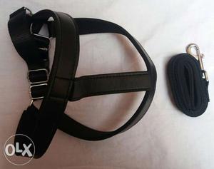 New paded adjustable harness an leash for large