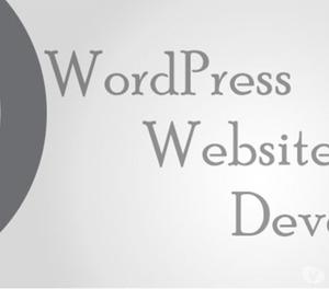 OM SOFT SOLUTION IS LOOKING FOR WORDPRESS DEVELOPERS