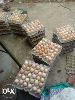 Pure natu Eggss for sale full tray 450