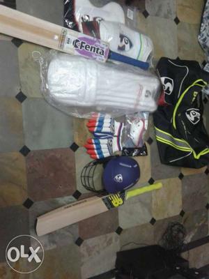 Sg Cricket Kit Full size batting pada gloves helmet thigh