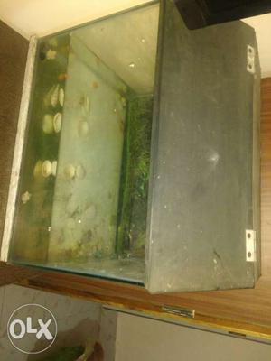 Size 1ft ×1:5 ft fish tank,i use only 3