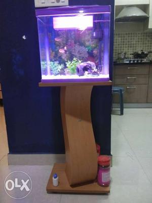 Stylish fish tank with wooden stand