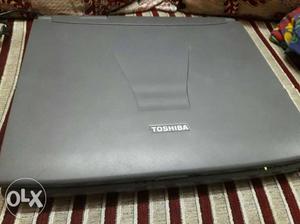 Toshiba laptop with charger display problem need