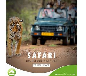 Dandeli Jungle Safari packages, Jungle Safari Online Booking