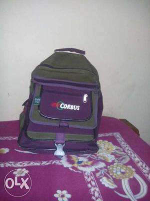Gray And Purple Corbus Backpack