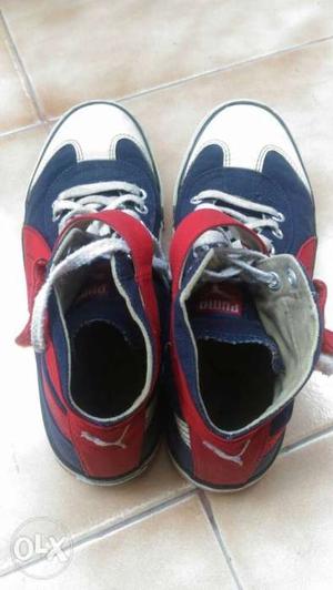 Kids' Puma shoes size 5. used but in excellent