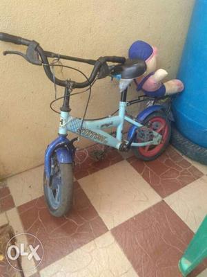 Toddler's Teal And Blue Bicycle