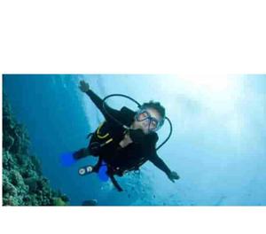 Hurry up! Experience scuba diving in Goa before monsoon